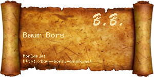 Baur Bors névjegykártya